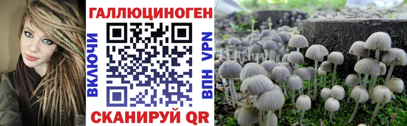 Галлюциногенные грибы MAGIC MUSHROOMS Рудня